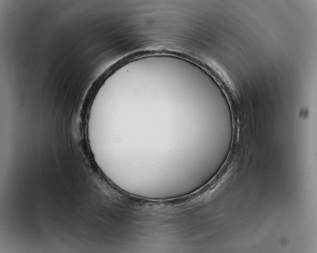X0000103330876200809051020