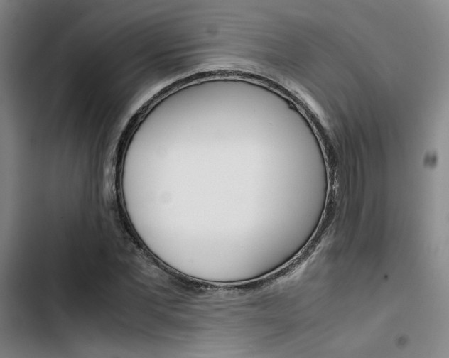 X0000103330877200809051020