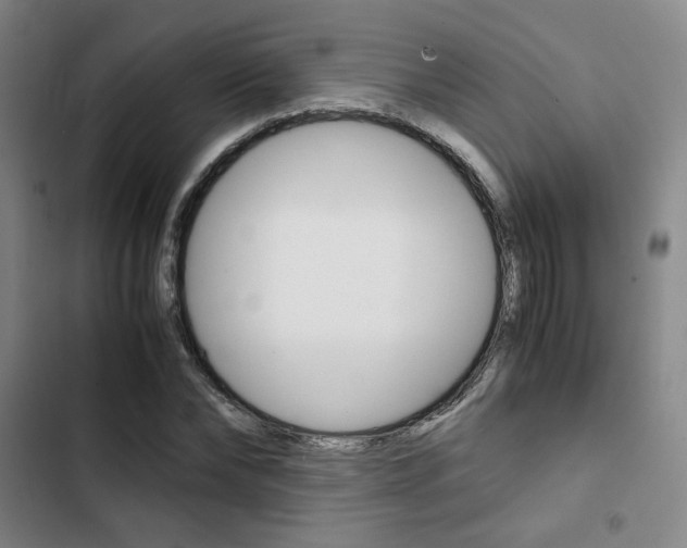 X0000103330878200809051020