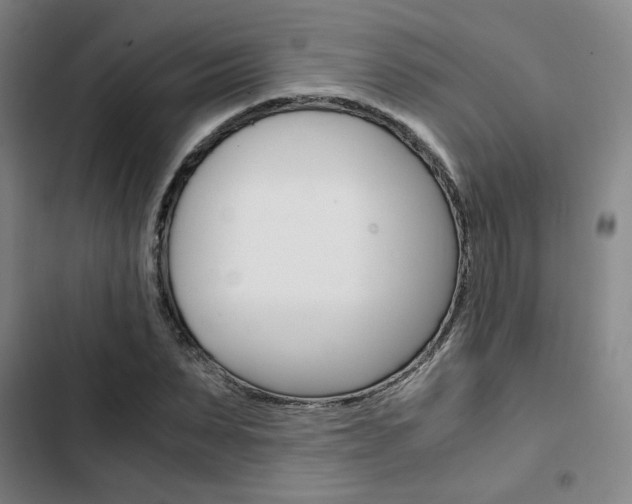 X0000103330879200809051020
