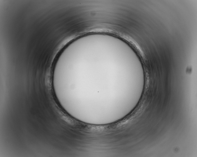 X0000103330882200809051020