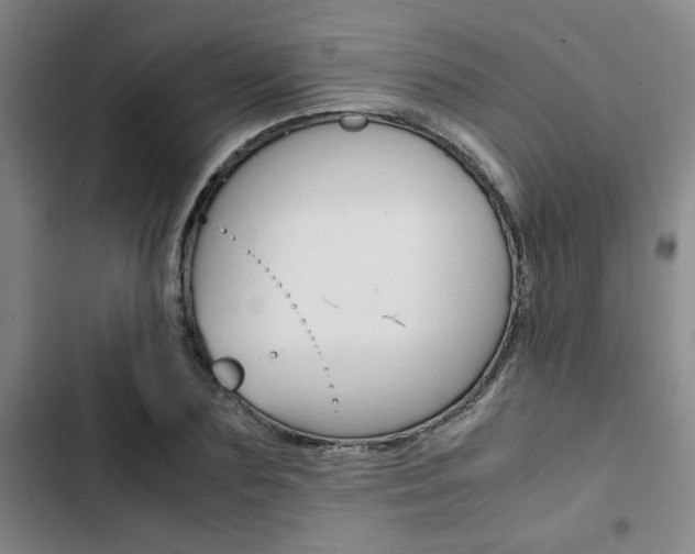 X0000103330883200809051020