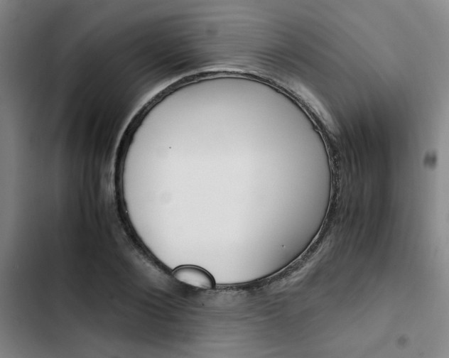 X0000103330884200809051020