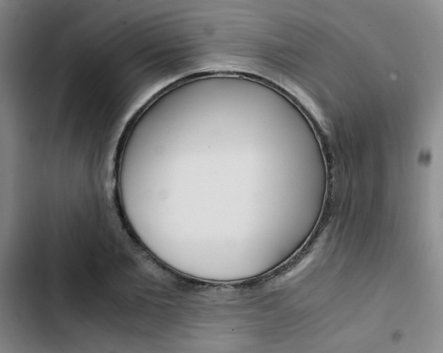 X0000103330885200809051020