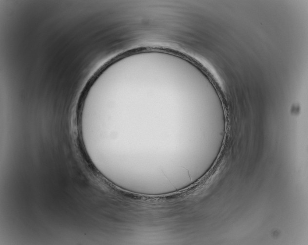 X0000103330887200809051020