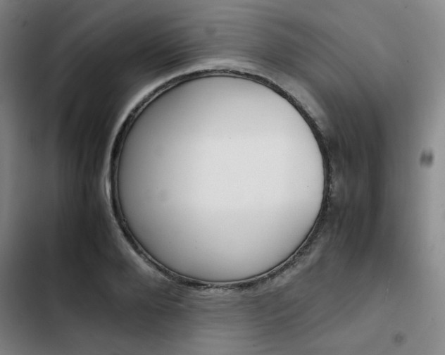 X0000103330888200809051020
