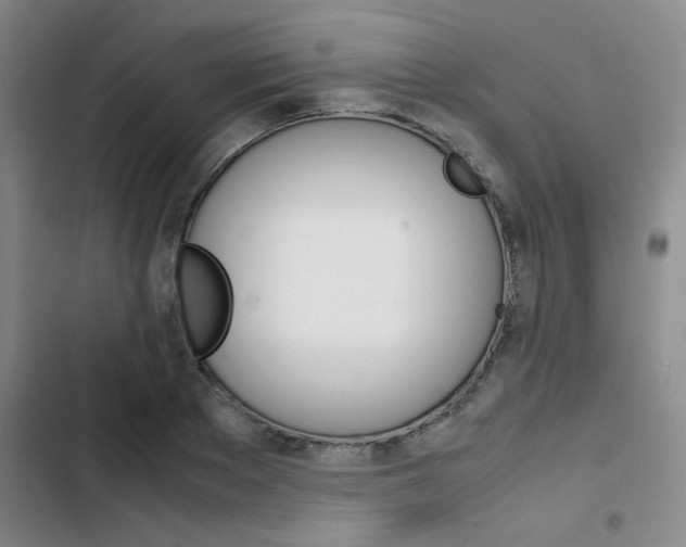 X0000103330889200809051020