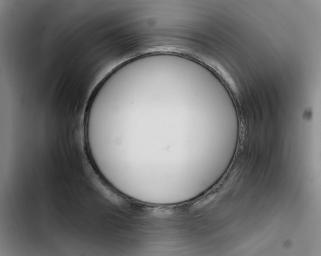X0000103330890200809051020