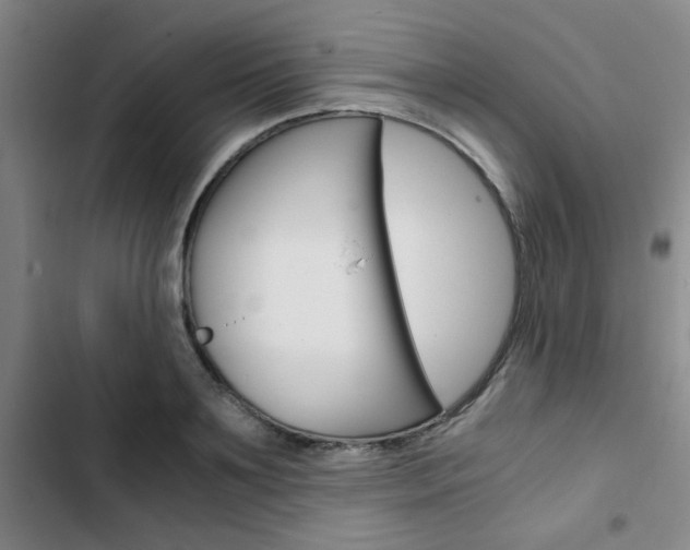 X0000103330891200809051020