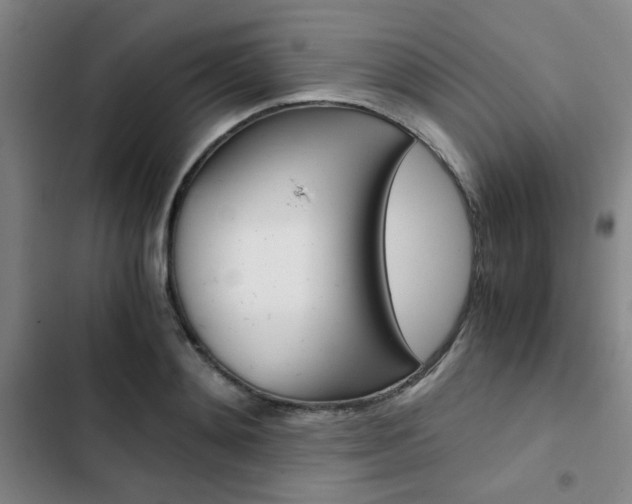 X0000103330892200809051019