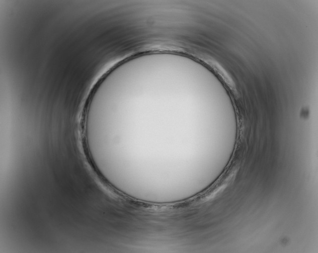 X0000103330893200809051019