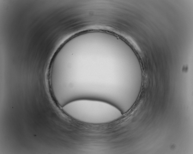 X0000103330895200809051019