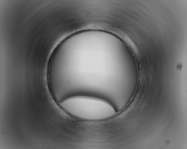 X0000103330896200809051019