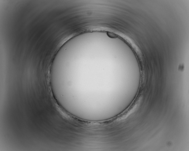 X0000103330897200809051019