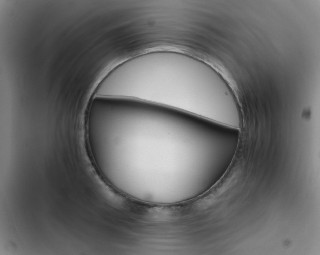 X0000103330898200809051019