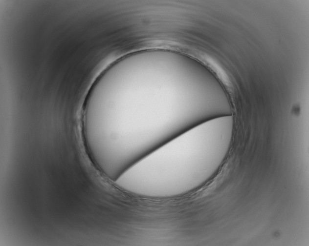 X0000103330899200809051019