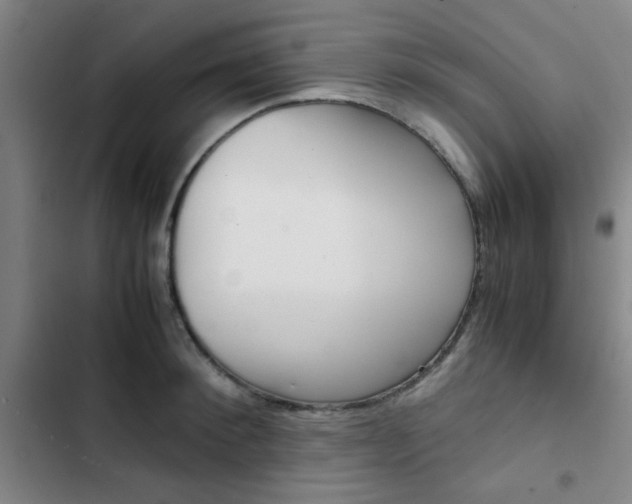 X0000103330900200809051019
