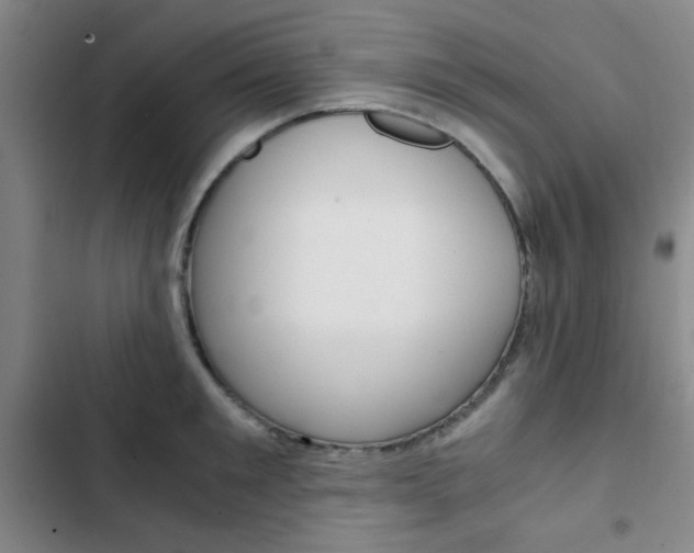 X0000103330901200809051019