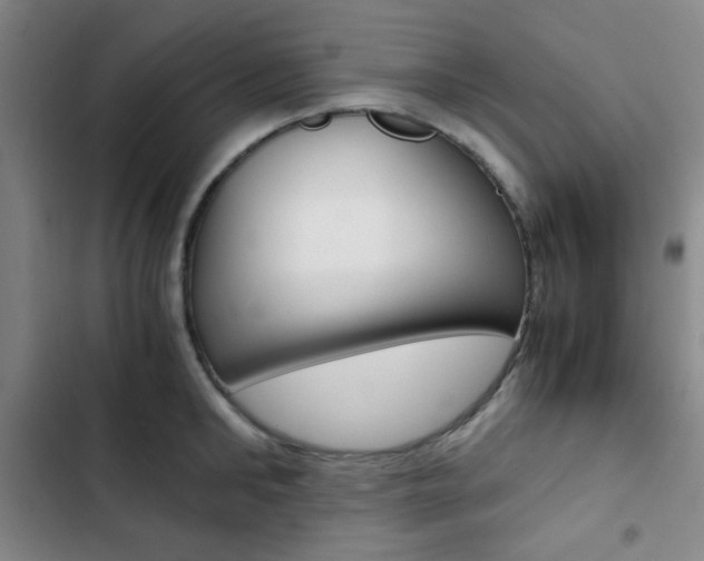 X0000103330902200809051019