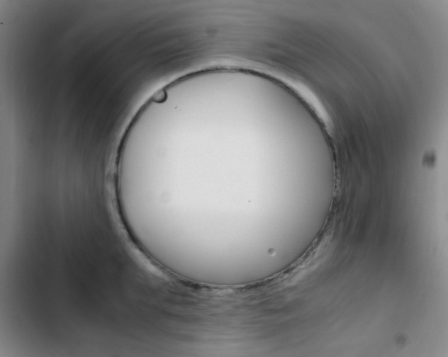 X0000103330903200809051019