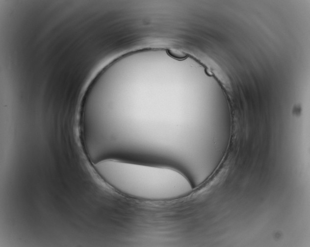 X0000103330904200809051019