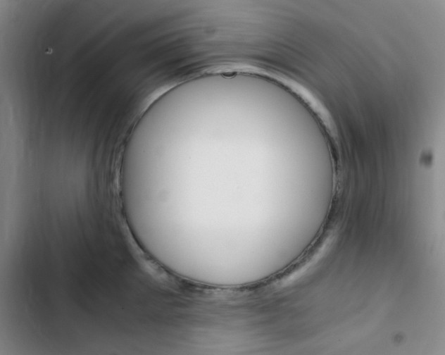X0000103330905200809051019