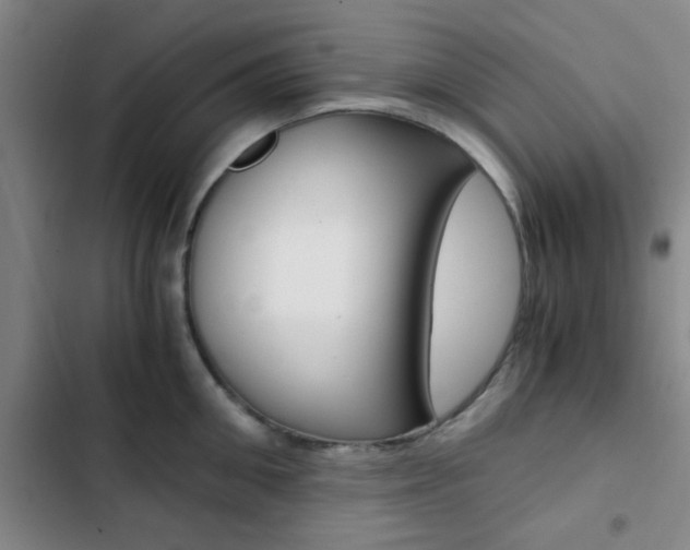 X0000103330906200809051019