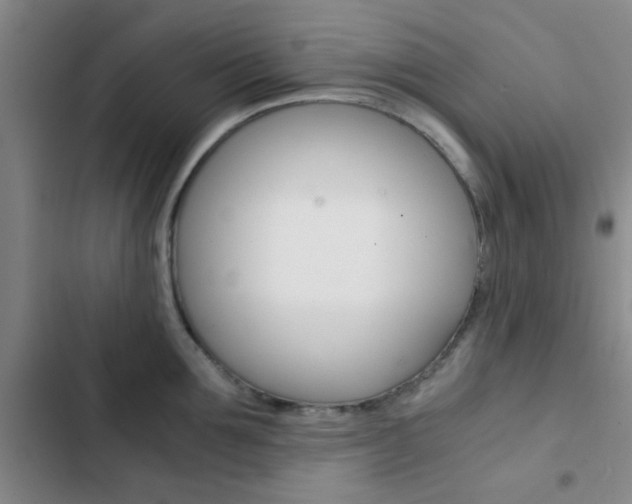 X0000103330907200809051019