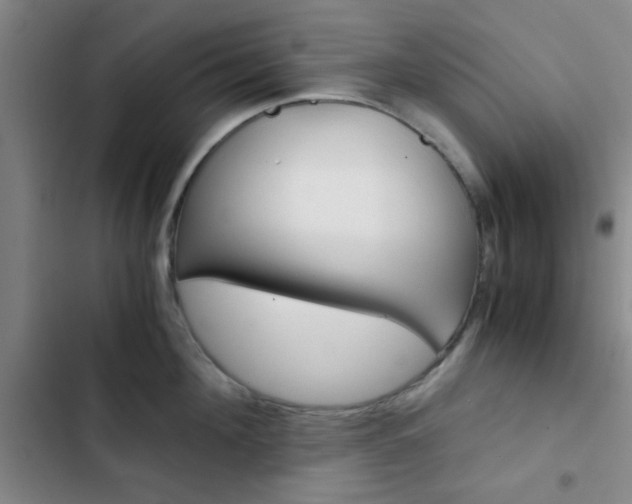 X0000103330908200809051019