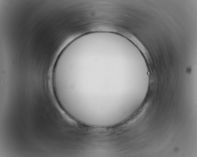 X0000103330909200809051019