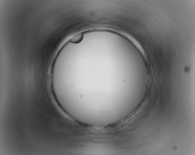 X0000103330911200809051019