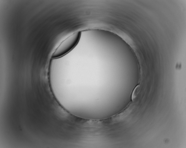X0000103330912200809051019