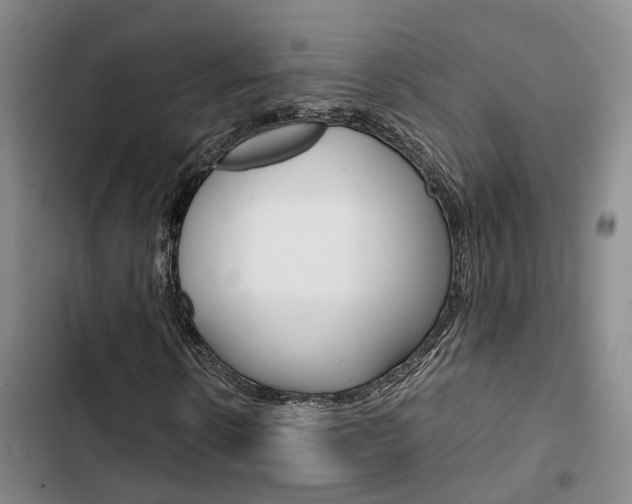 X0000103330914200809051018