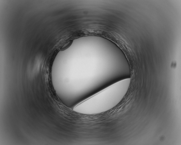 X0000103330915200809051018