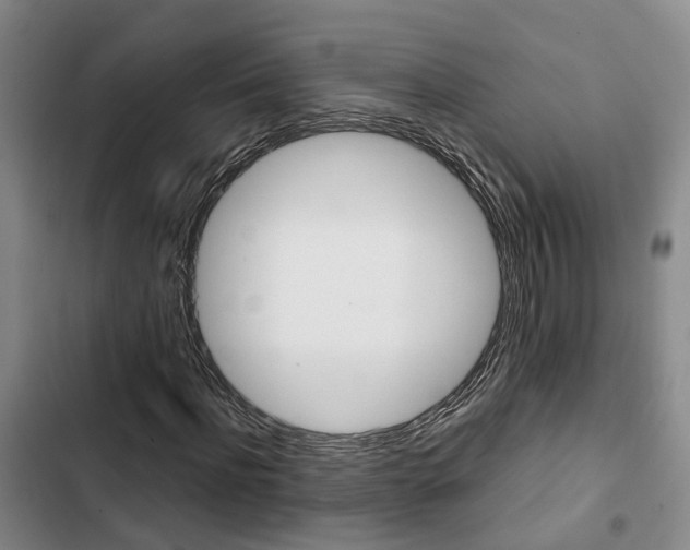 X0000103330916200809051018