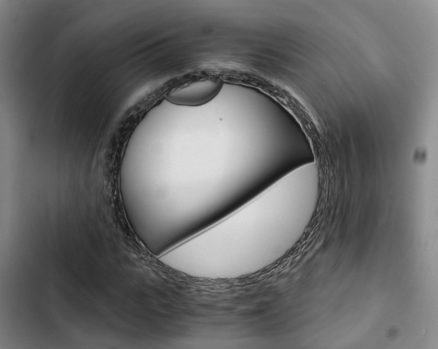 X0000103330919200809051018