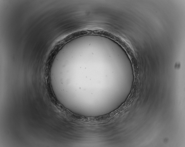 X0000103330920200809051018