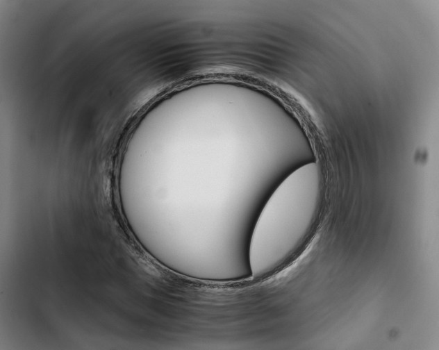 X0000103330921200809051019