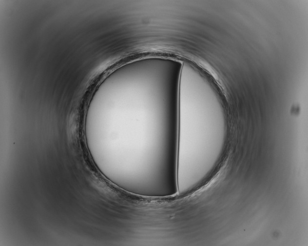 X0000103330922200809051019