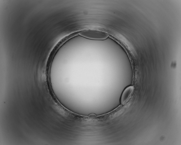 X0000103330924200809051019