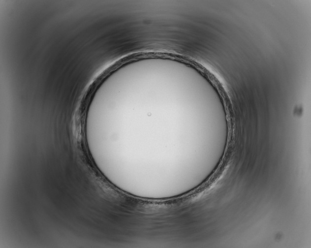 X0000103330925200809051019