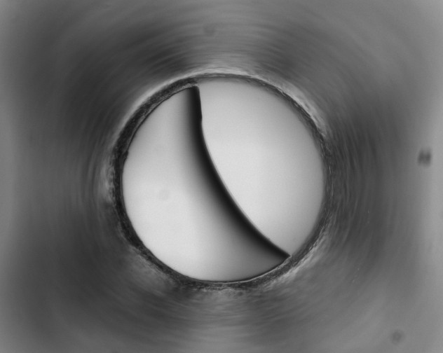 X0000103330926200809051019