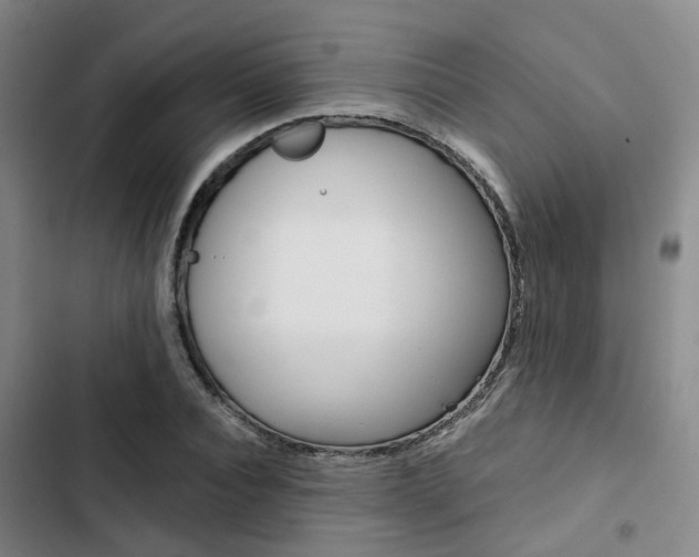 X0000103330928200809051019
