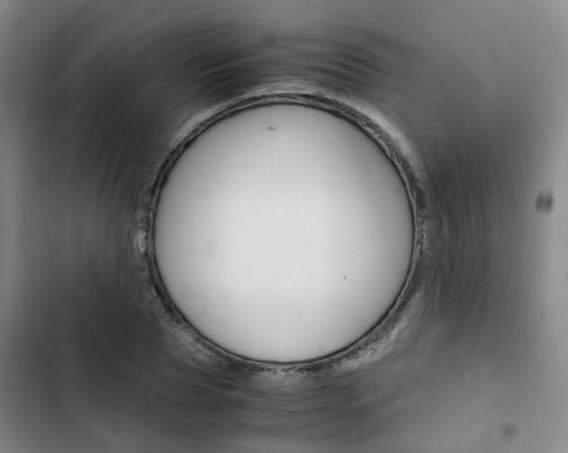 X0000103330929200809051019