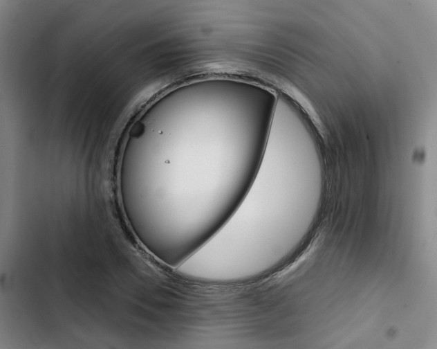 X0000103330930200809051019