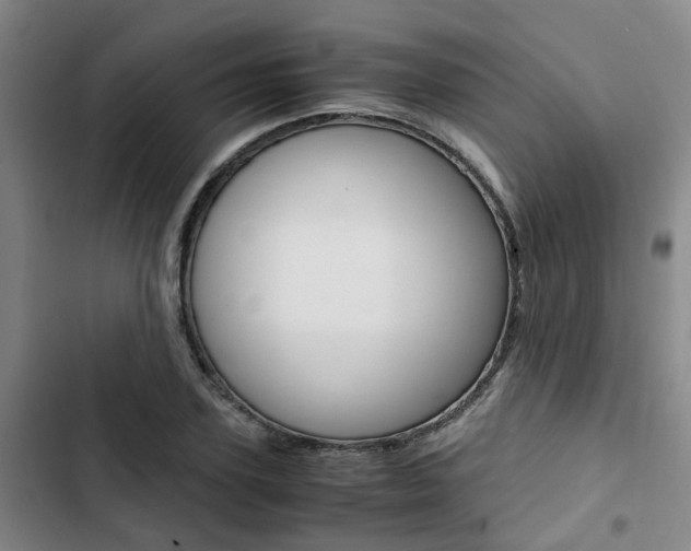 X0000103330931200809051019