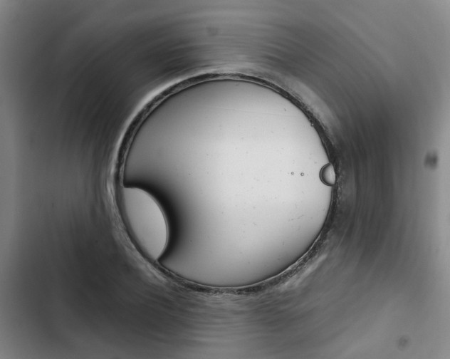 X0000103330932200809051019