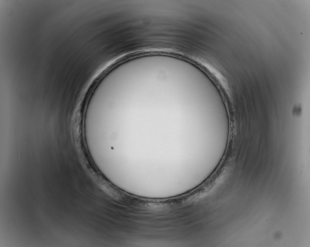 X0000103330933200809051019