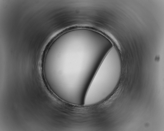 X0000103330935200809051019