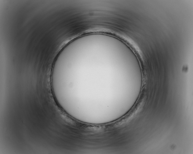 X0000103330937200809051019